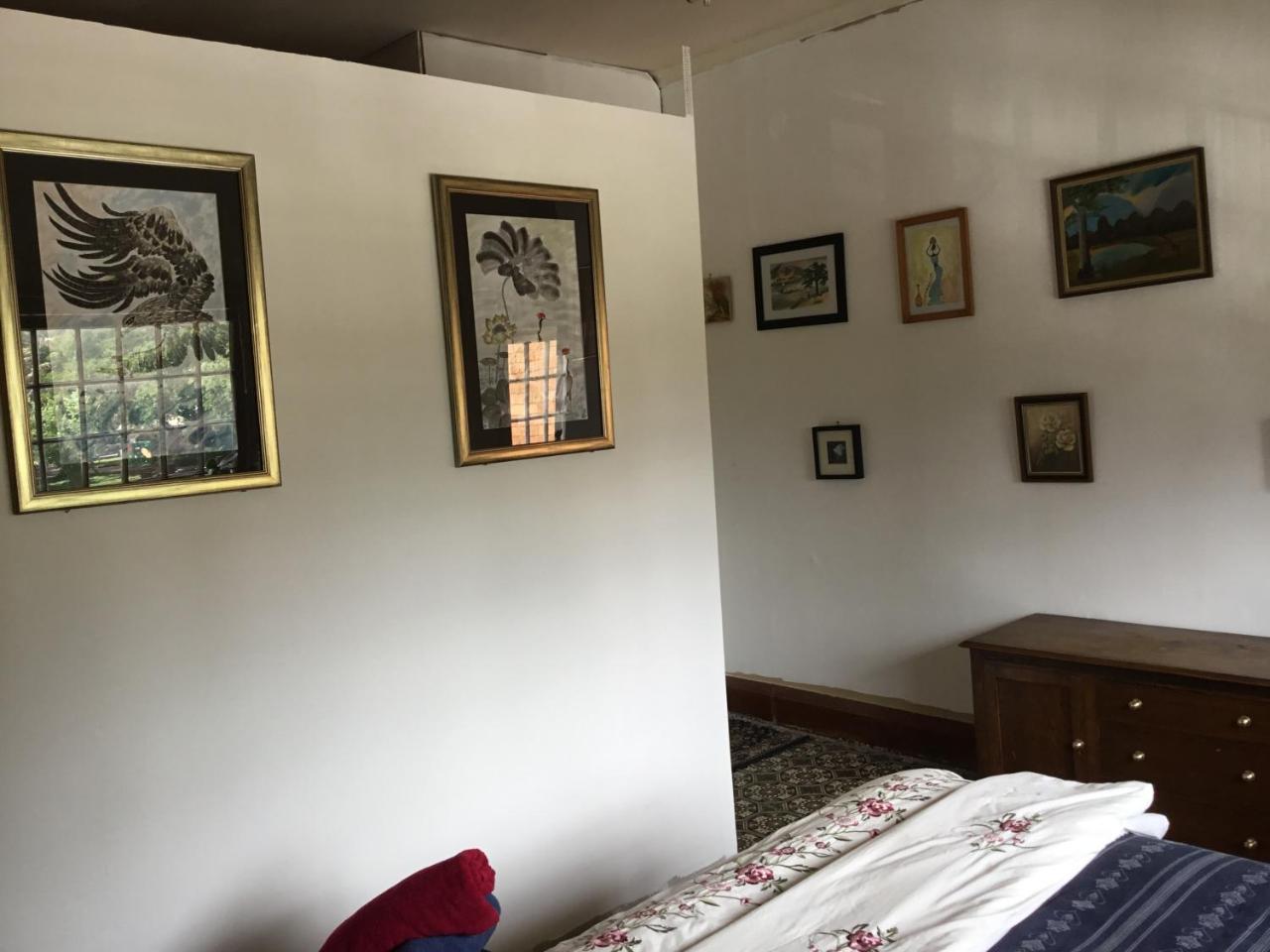 Fireside Inn Guesthouse Goulburn Esterno foto